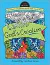 Color God's Creation - Colouring Book